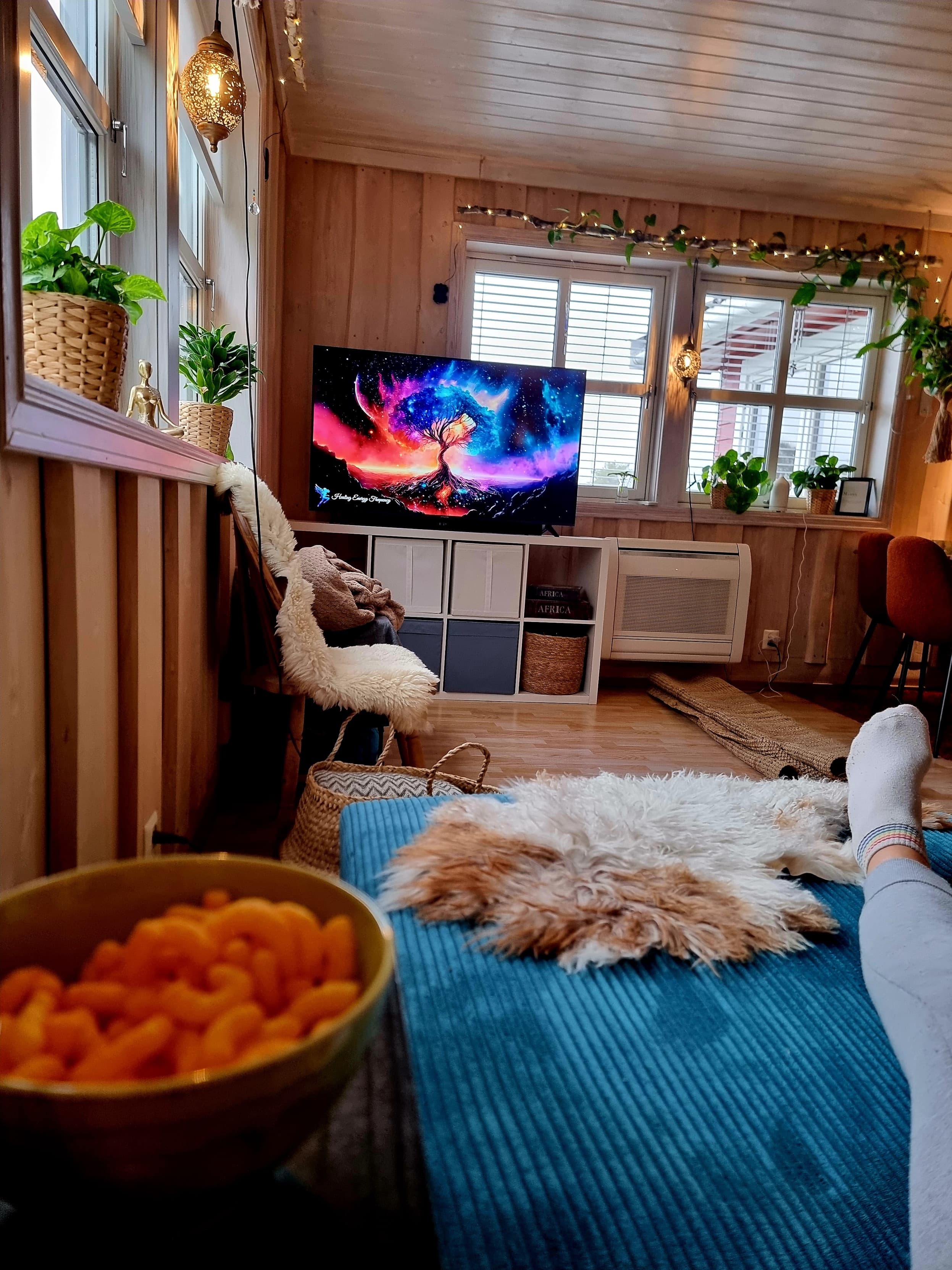 Björnen Sovesofa divan (vendbar)