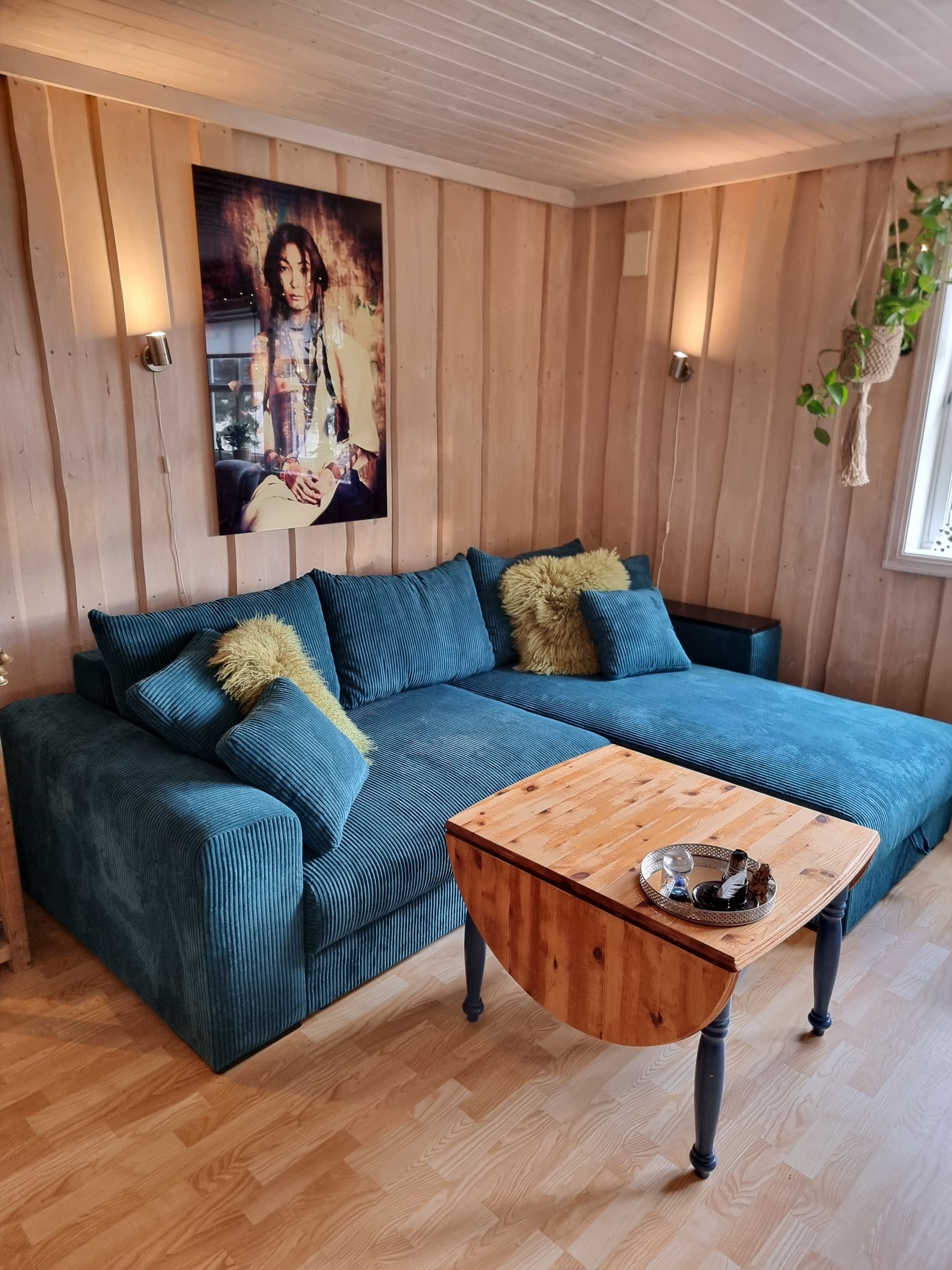 Björnen Sovesofa divan (vendbar)