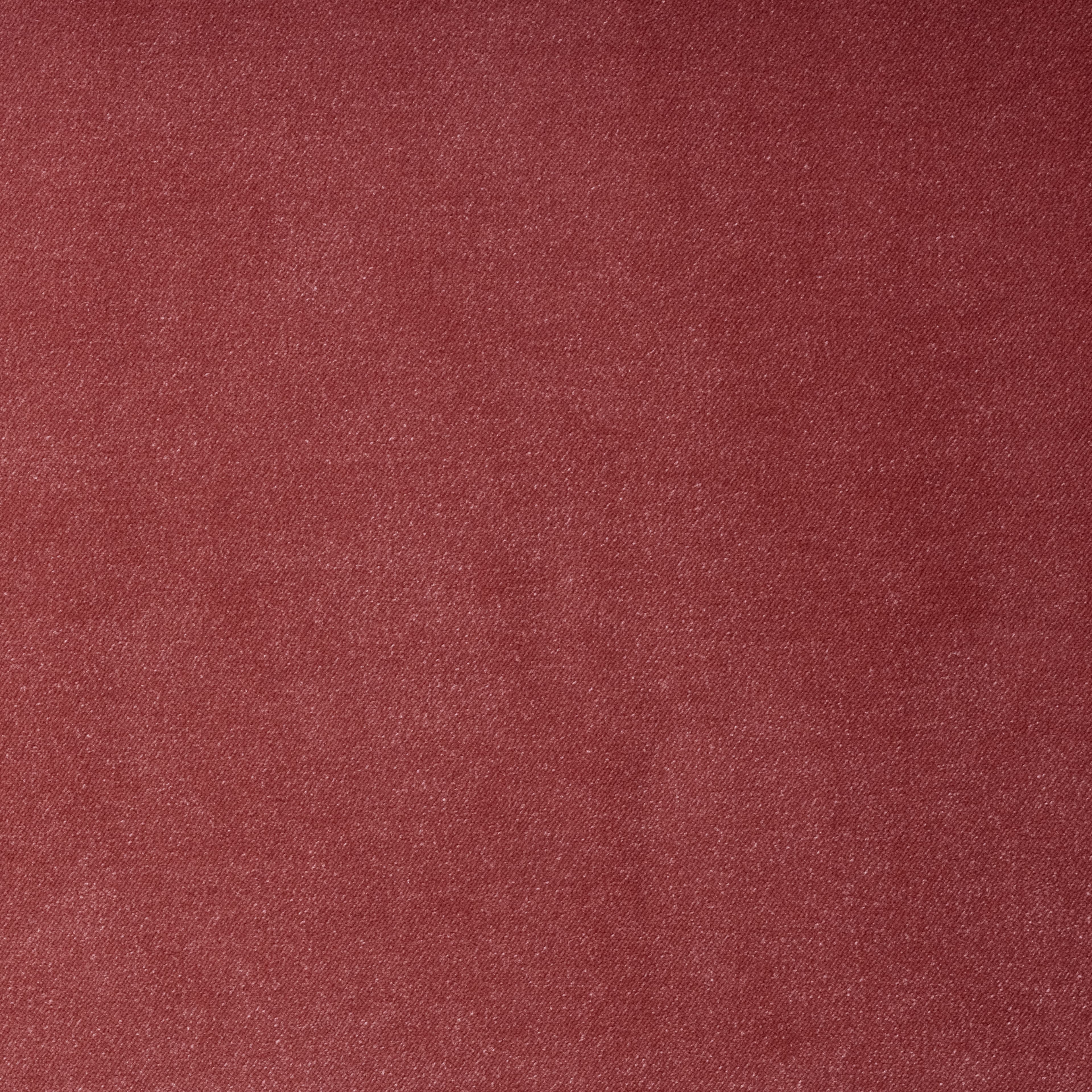 Solemio Rosa 10 (OBS: 14-16 ukers leveringstid)