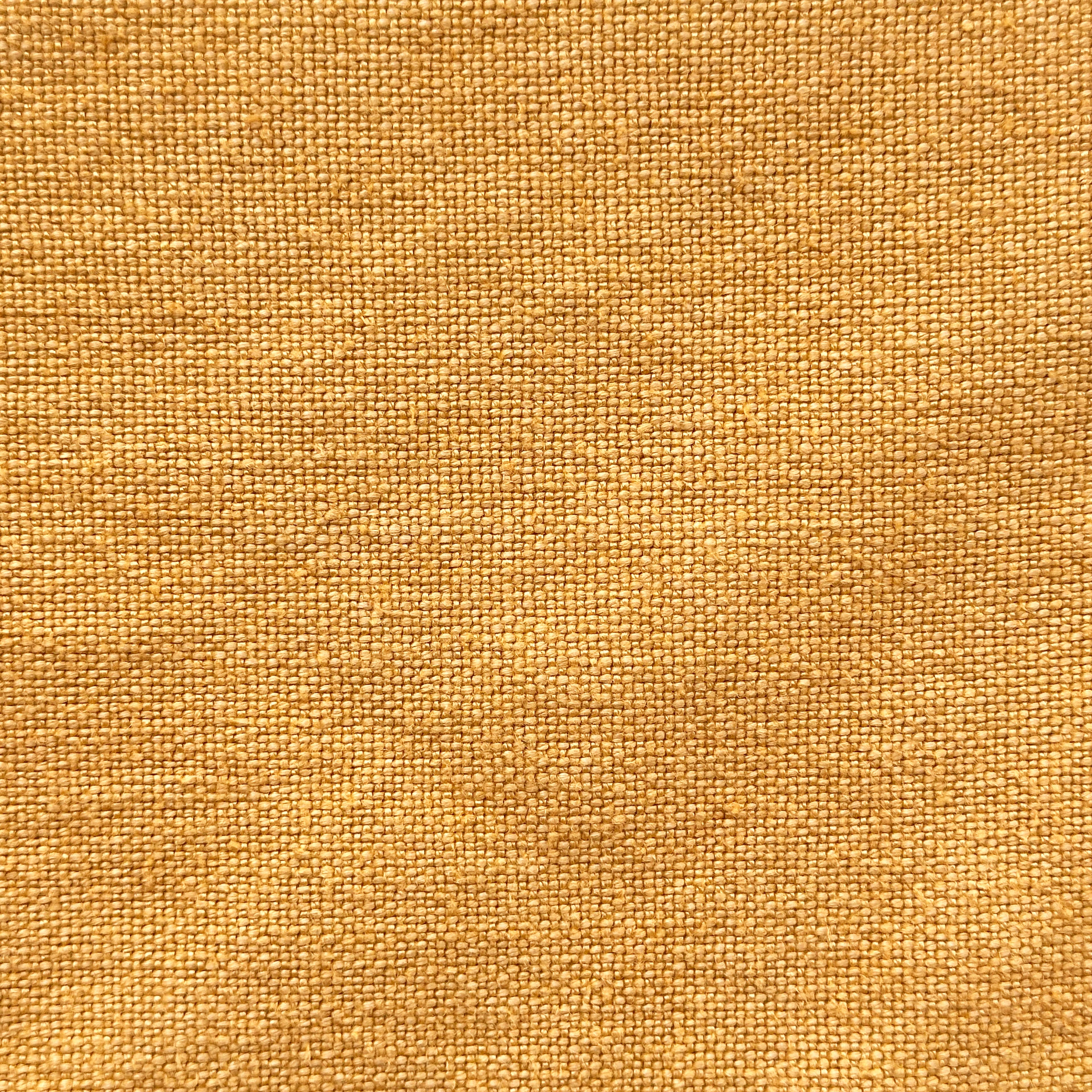 Canapa Sennepsgul 27